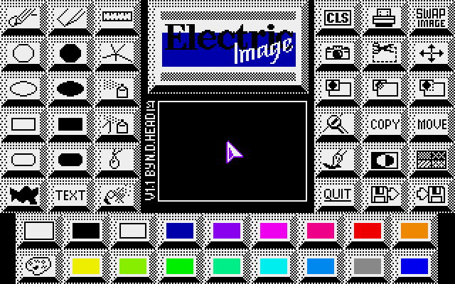 Electric Image